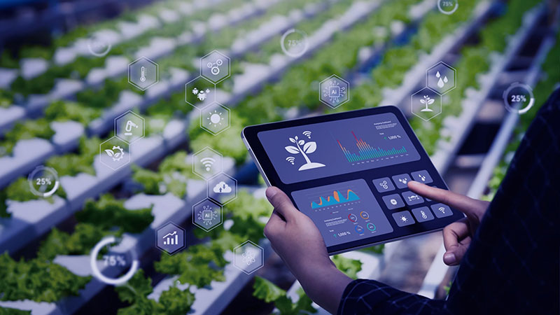 Smart Farming & Agritech 